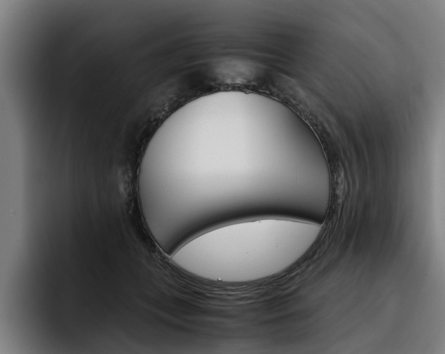 X0000093490559200710121015