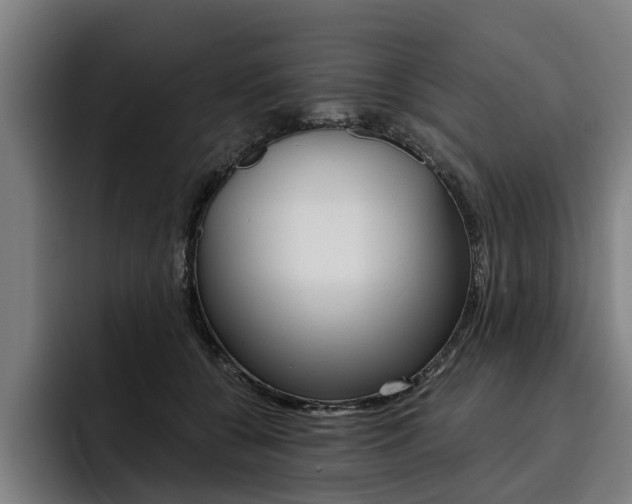 X0000093490560200710121015