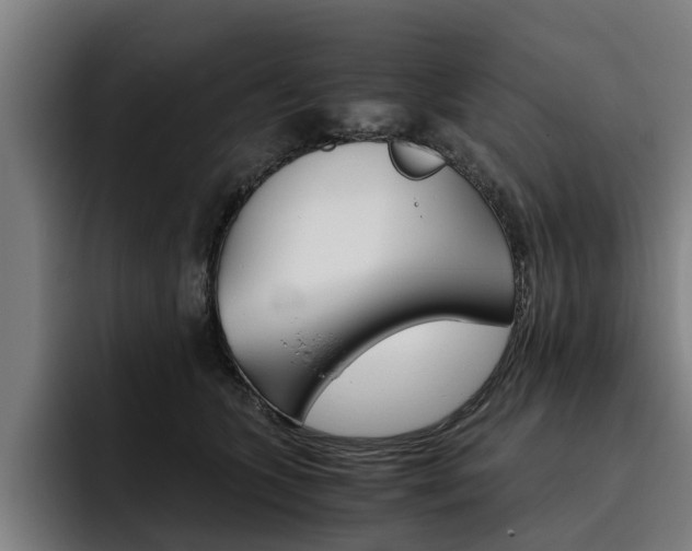 X0000093490563200710121015
