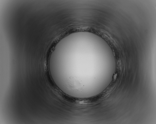 X0000093490564200710121015