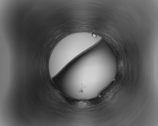 X0000093490566200710121015