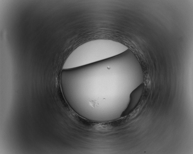 X0000093490568200710121015