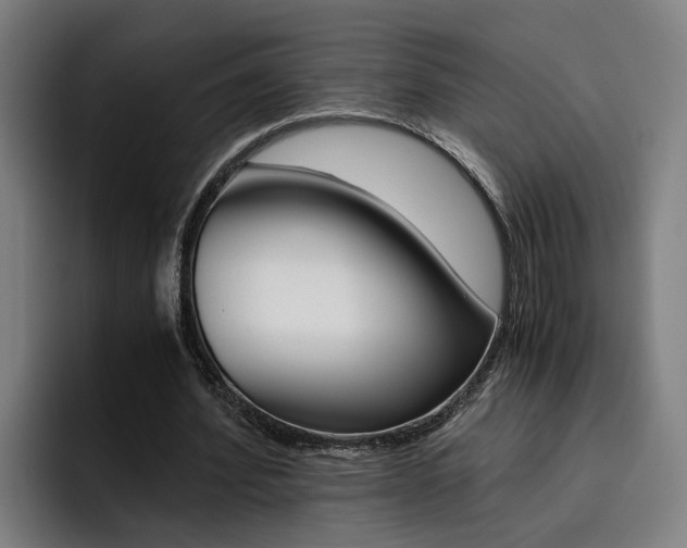 X0000093490580200710121014