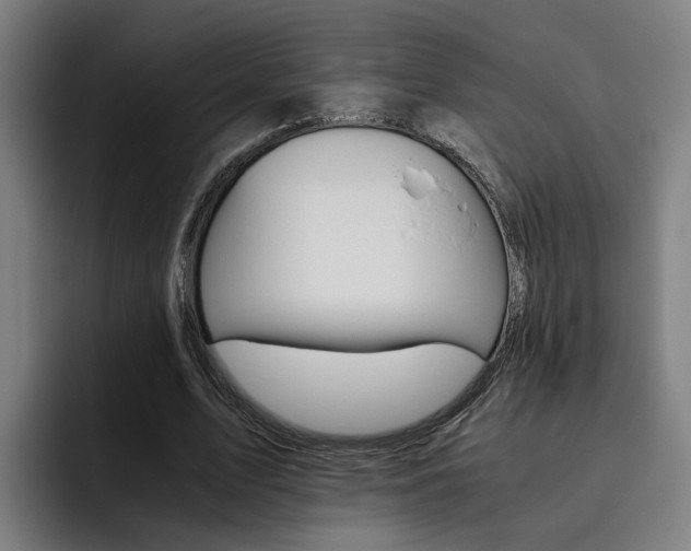 X0000093490583200710121014