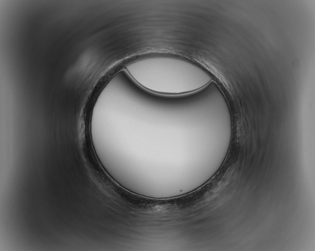 X0000093490584200710121014