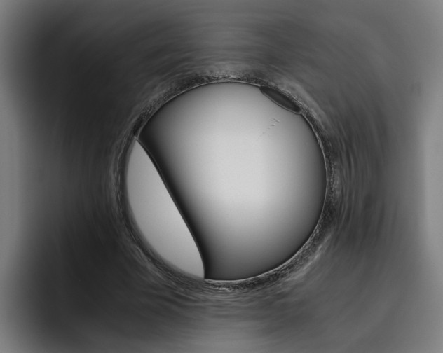 X0000093490585200710121014