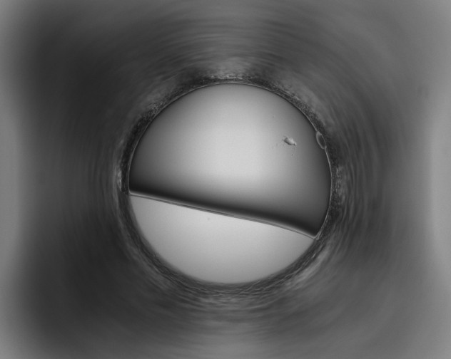 X0000093490589200710121014
