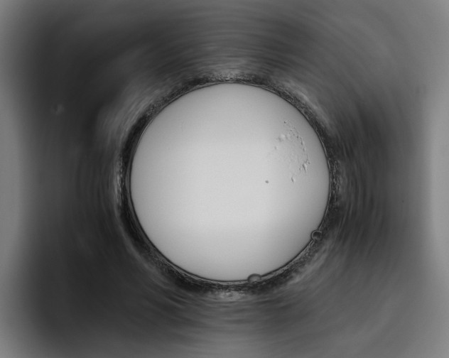 X0000093490590200710121014