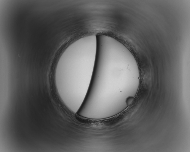 X0000093490591200710121014