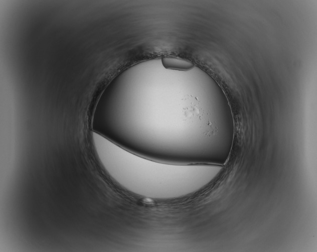 X0000093490593200710121014