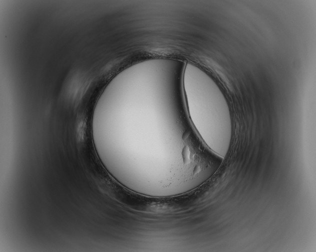 X0000093490596200710121014