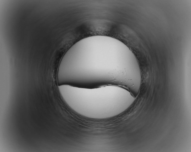 X0000093490599200710121014