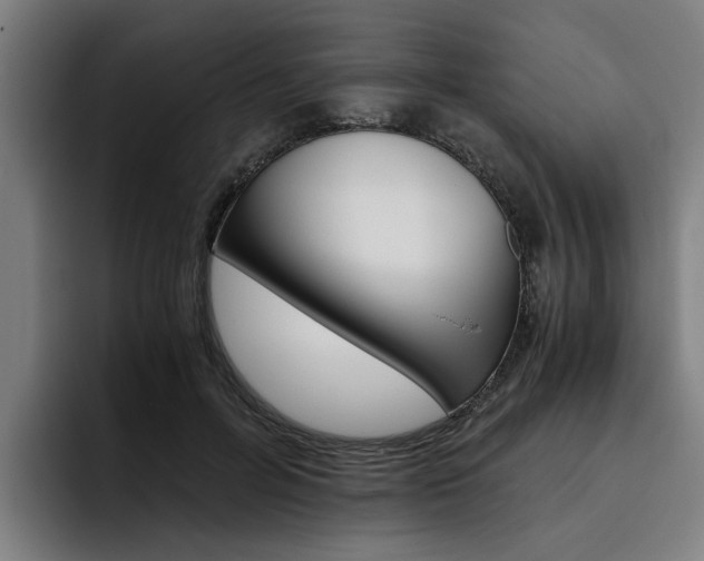 X0000093490600200710121014