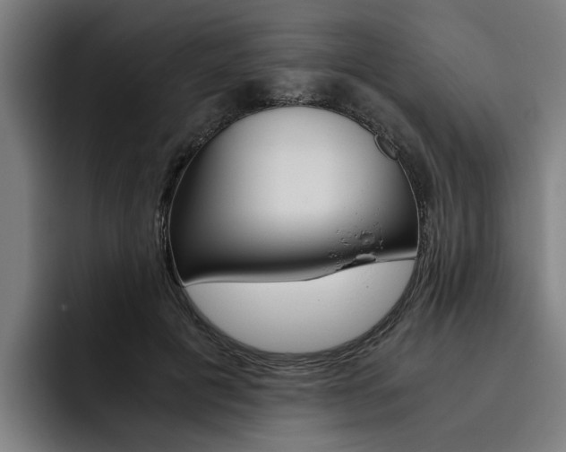 X0000093490601200710121014