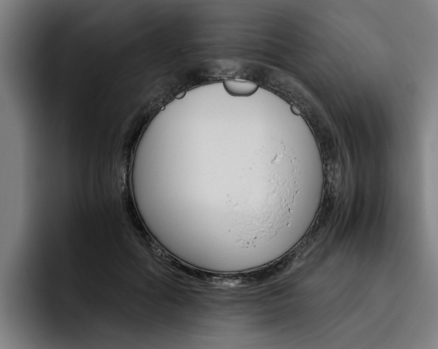 X0000093490602200710121014