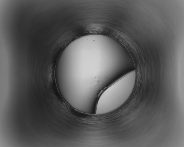 X0000093490604200710121014