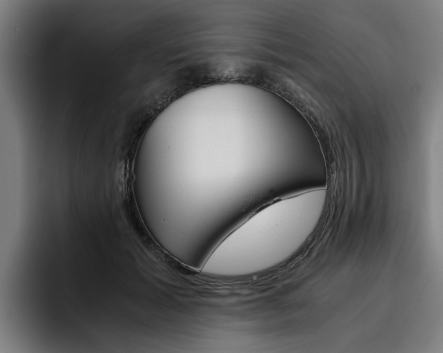 X0000093490605200710121014