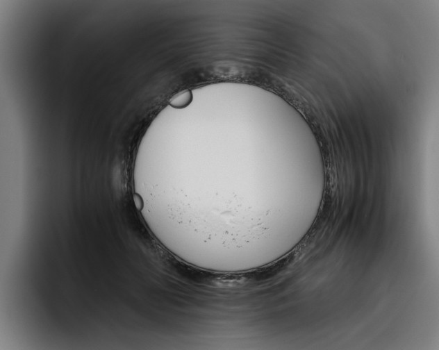 X0000093490606200710121014