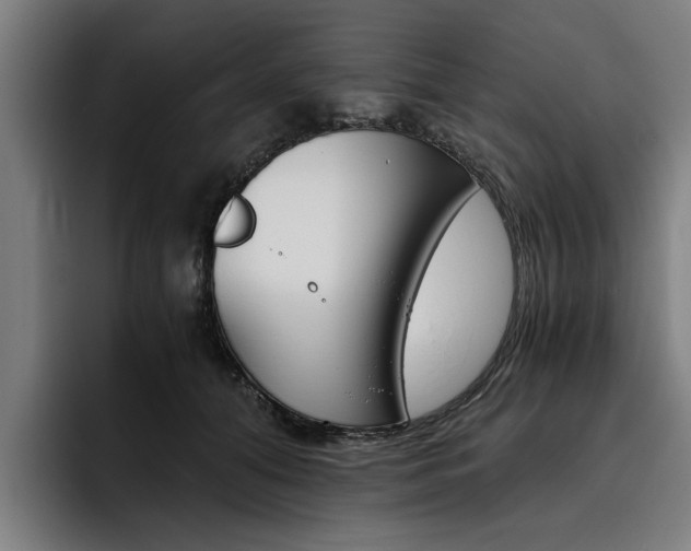 X0000093490608200710121014