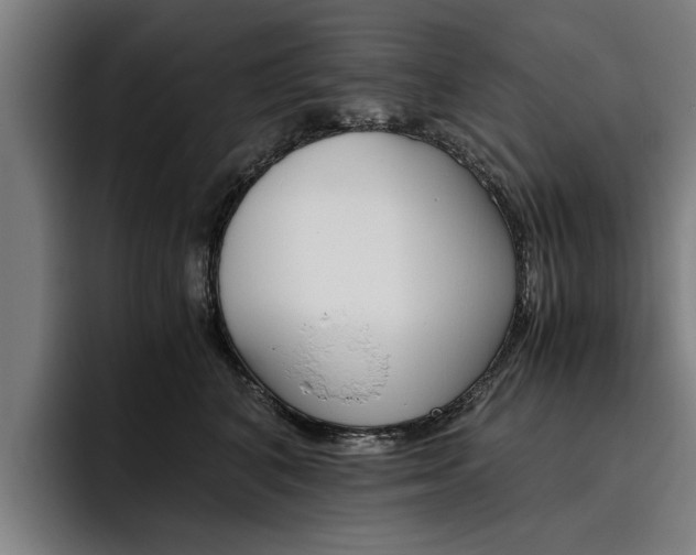 X0000093490616200710121014