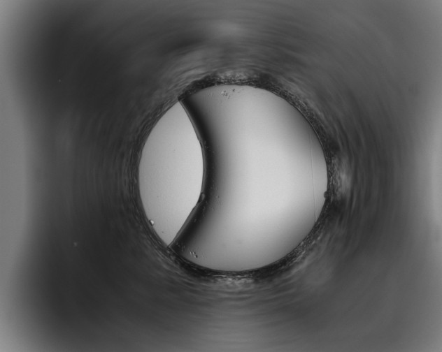 X0000093490619200710121014