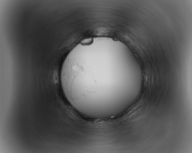 X0000093490620200710121014