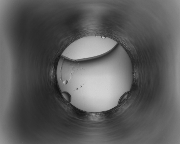 X0000093490623200710121014