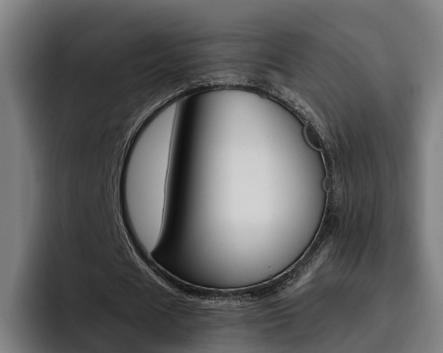 X0000093490625200710121013