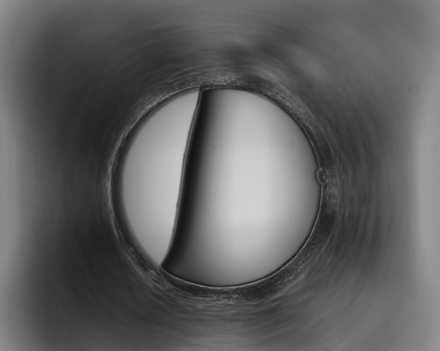 X0000093490626200710121013