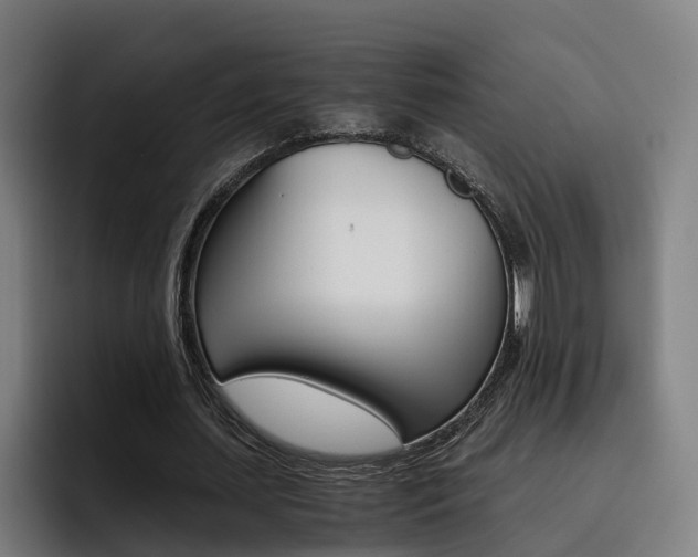 X0000093490627200710121013