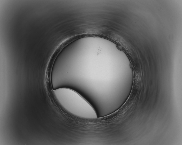 X0000093490628200710121013