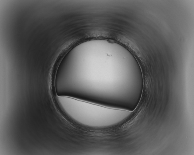 X0000093490629200710121013