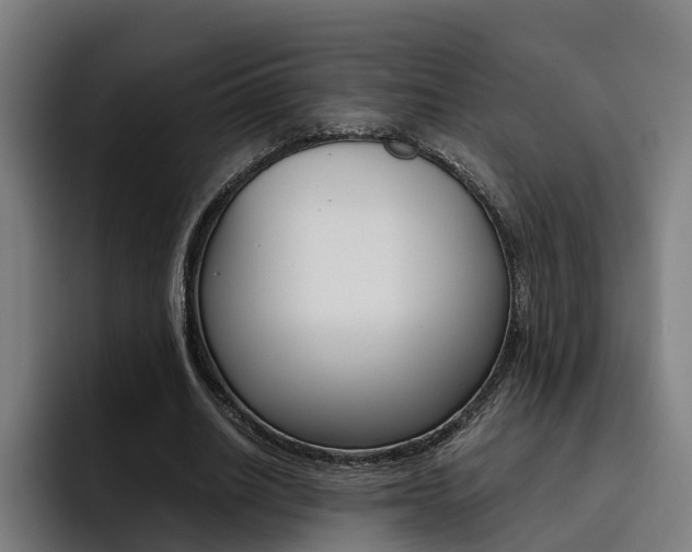 X0000093490630200710121013
