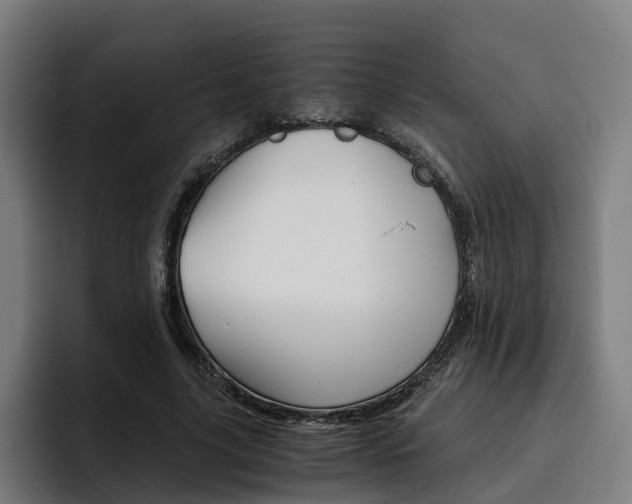X0000093490635200710121013