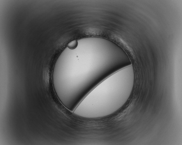 X0000093490637200710121013