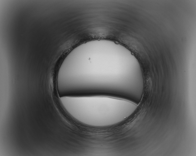 X0000093490638200710121013