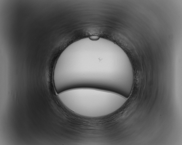 X0000093490639200710121013