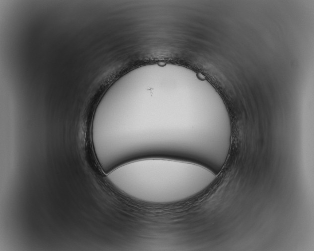 X0000093490640200710121013