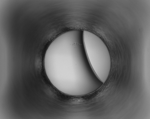 X0000093490642200710121013