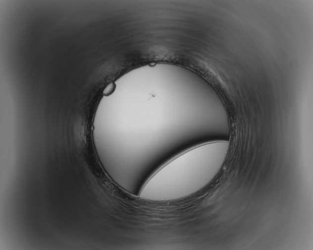 X0000093490643200710121013