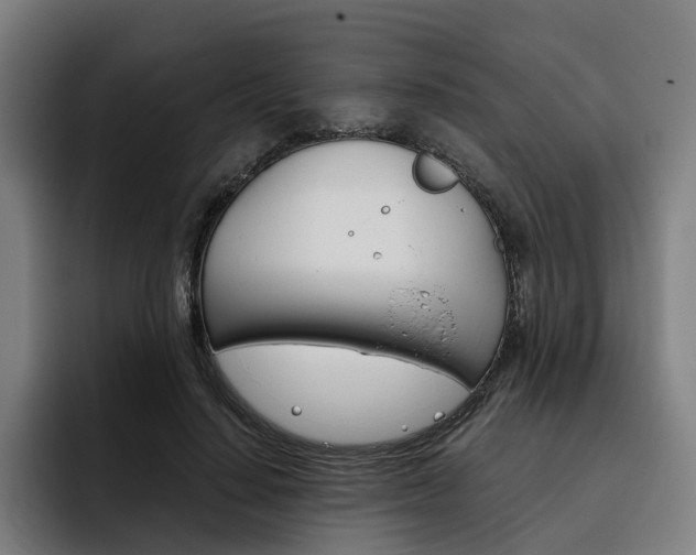 X0000093490644200710121013
