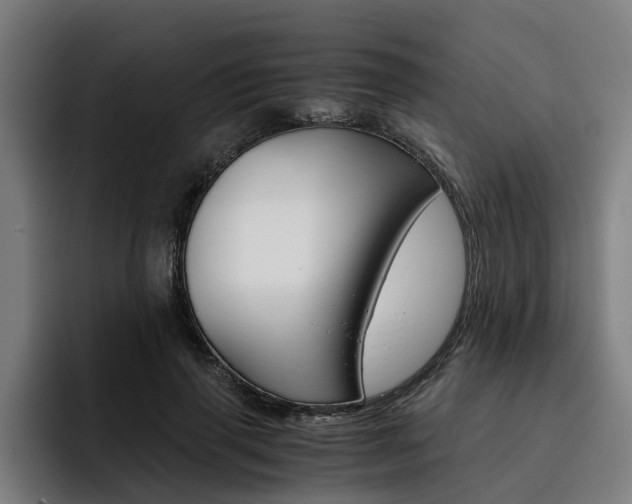 X0000093490645200710121013