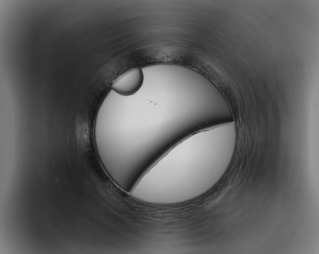 X0000093490646200710121013