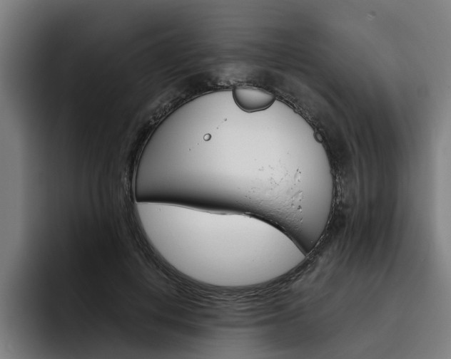 X0000093490648200710121013