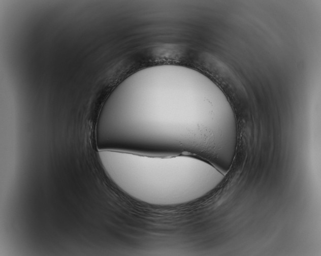 X0000093490649200710121013