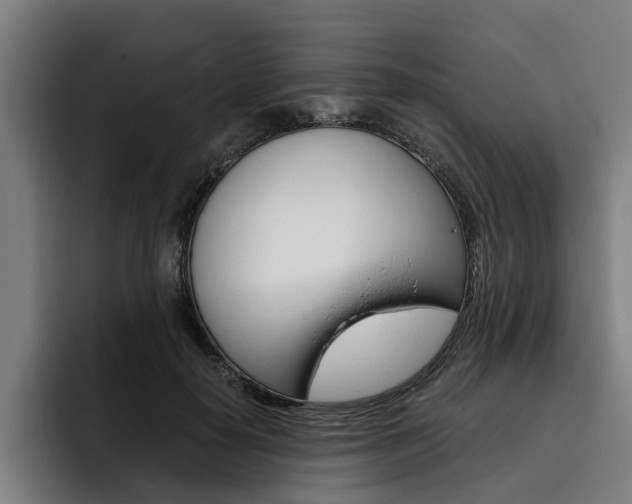 X0000093490650200710121014