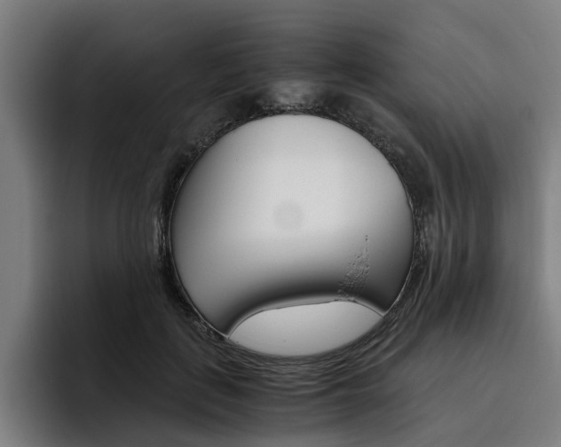 X0000093490651200710121014