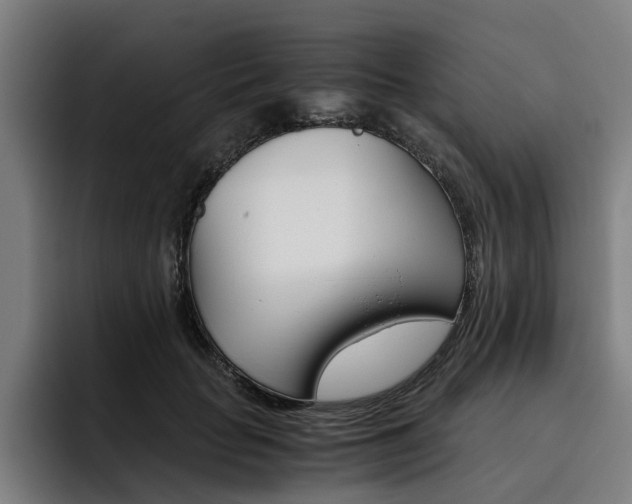 X0000093490653200710121014