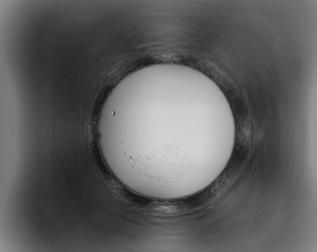 X0000093490658200710121014