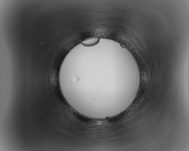 X0000093490663200710121014